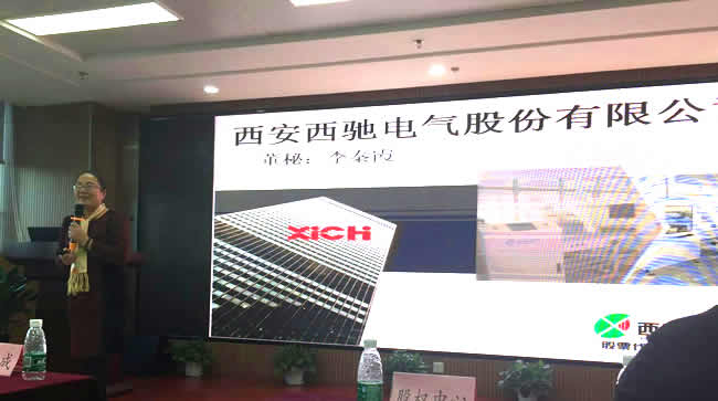 DB多宝体育网址电气参与“沟通、融合、发展” 投融资主题路演(图3)