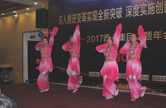 2017DB多宝体育网址集团主题年会(图12)