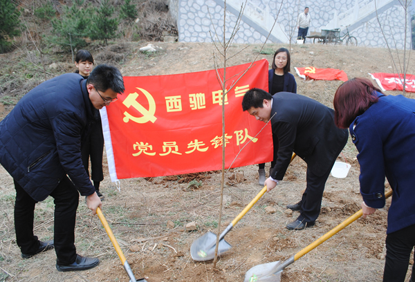 “春动DB多宝体育网址 绿满秦岭”公益植树活动(图3)